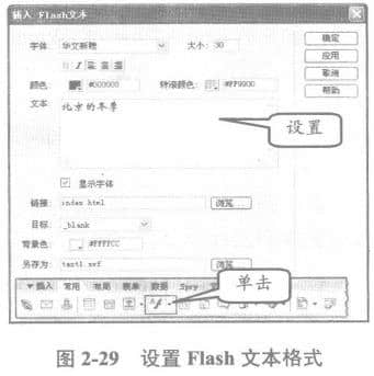 設置flash文本格式