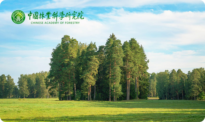 尚品中國承接中國林業(yè)科學(xué)研究院網(wǎng)站建設(shè)項(xiàng)目